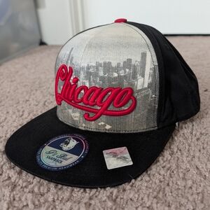 Pit Bull Chicago Red Black Gray Embroidered Skyline Snapback Hat OS